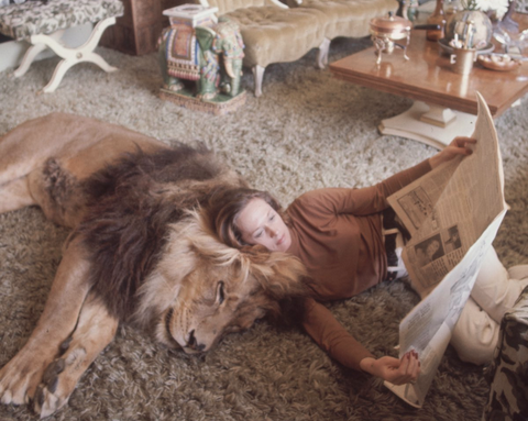Living with lion. I think I will need to see this movie Roar .