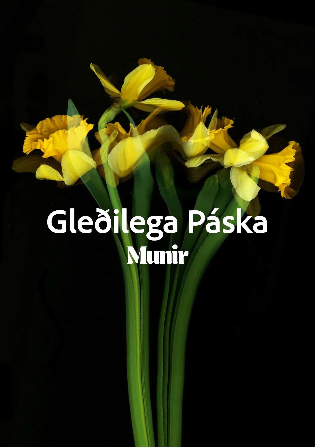 gledilegapaska02.jpeg