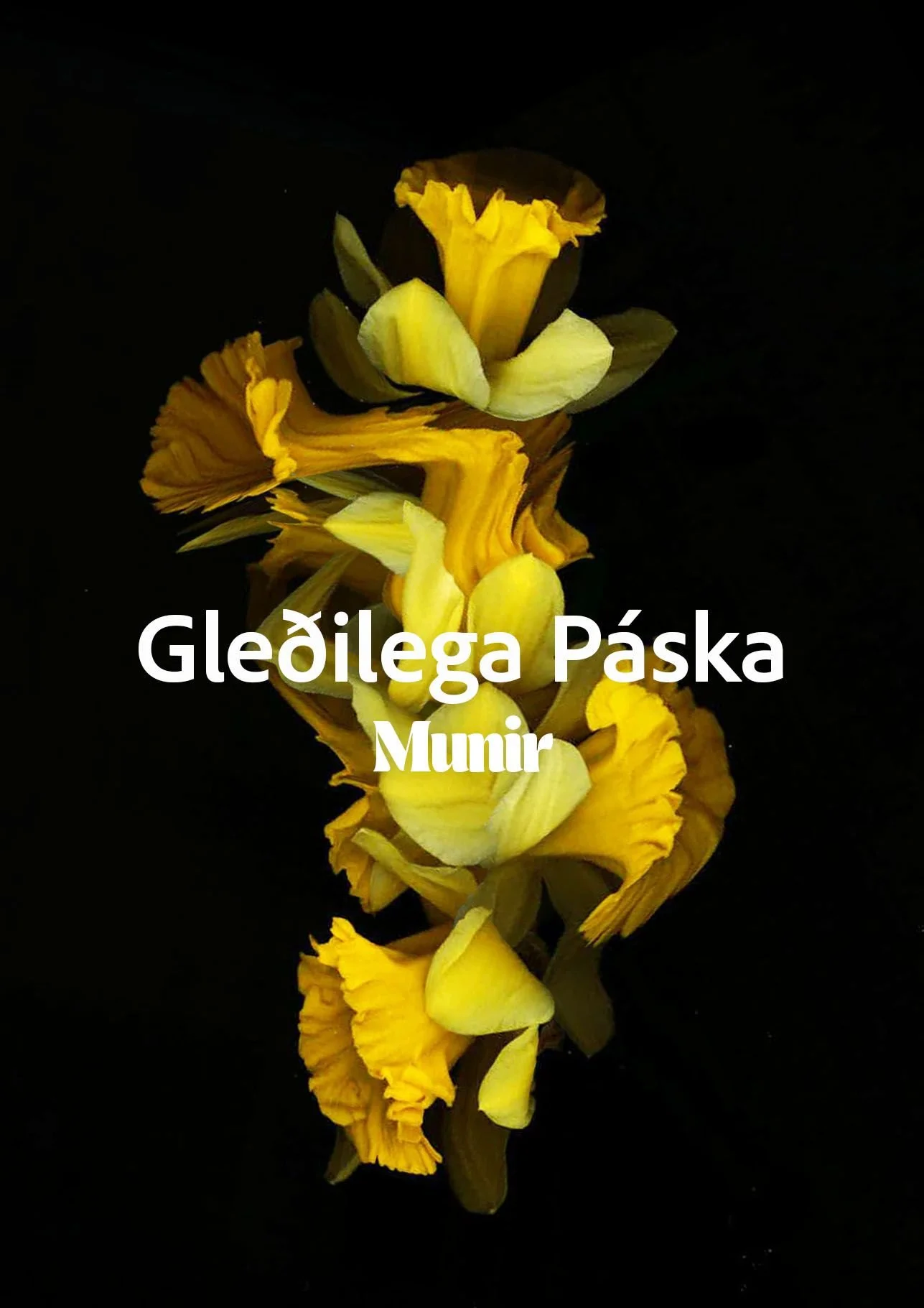 gledilegapaska01.jpeg