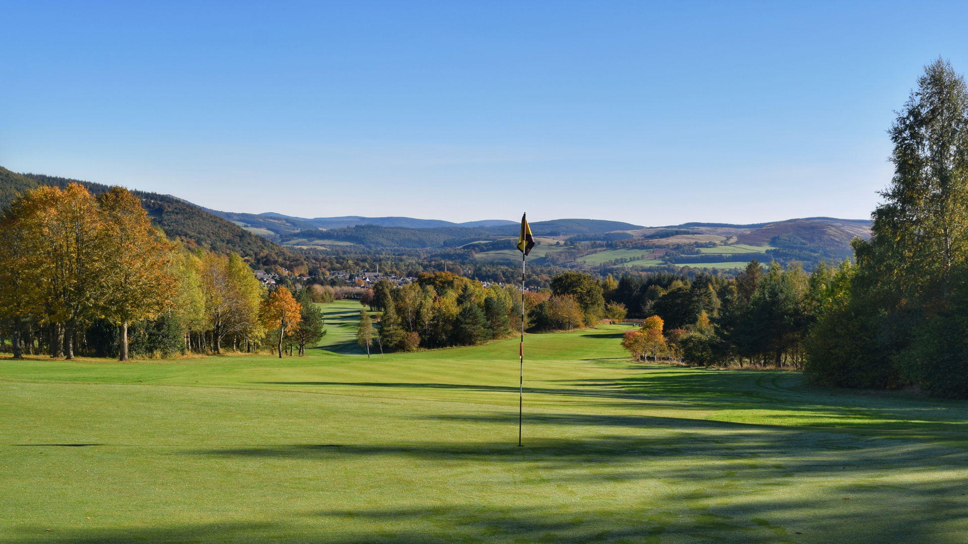 Untitled design (2).png