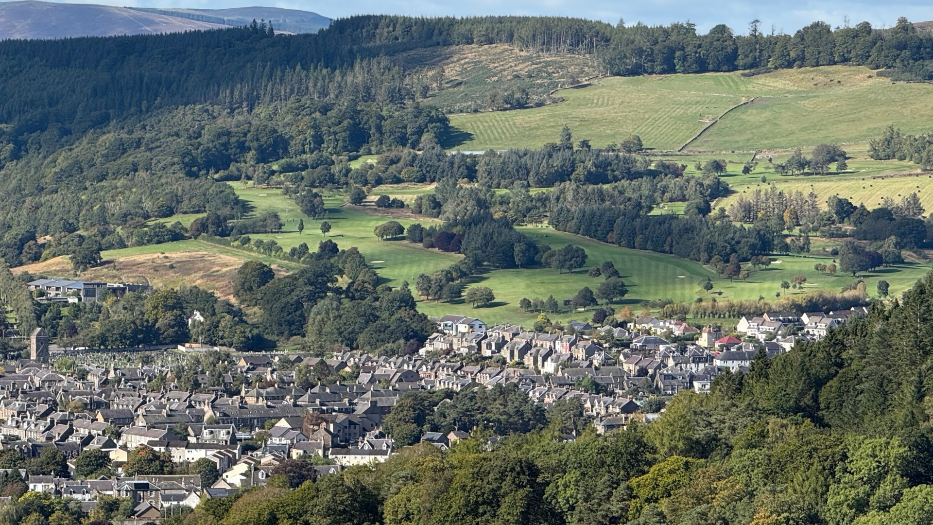 Untitled design (13).png