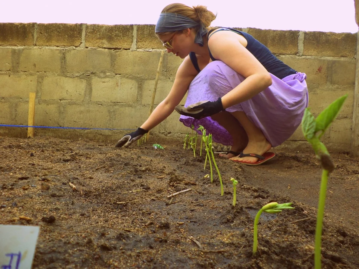 GHN Lene urban gardening.jpg