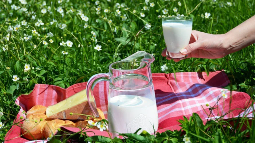 640x360milk in field100.jpg