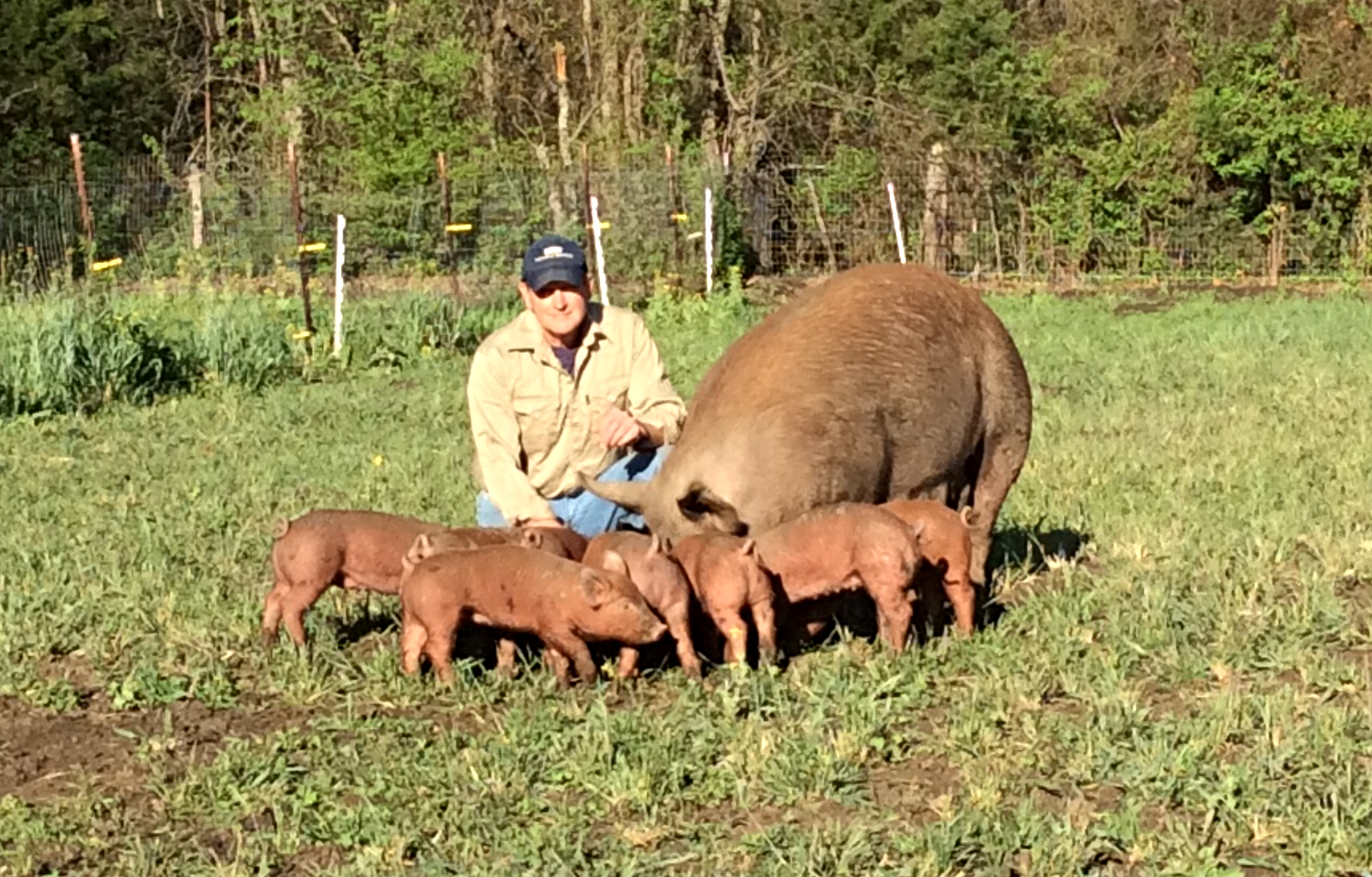 Barbara with baby pigs and Jim
