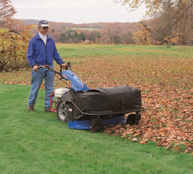 Lawn Mower in action.jpg