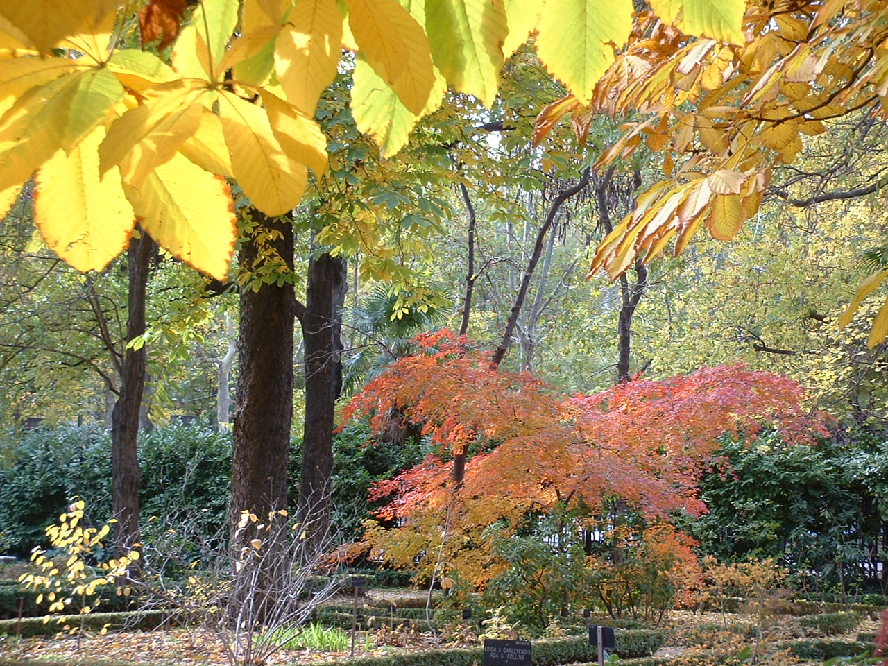El otoño, una estación perfecta para disfrutar por los colores, la lluvia, los cambios... ¡pero no para nuestro cabello!