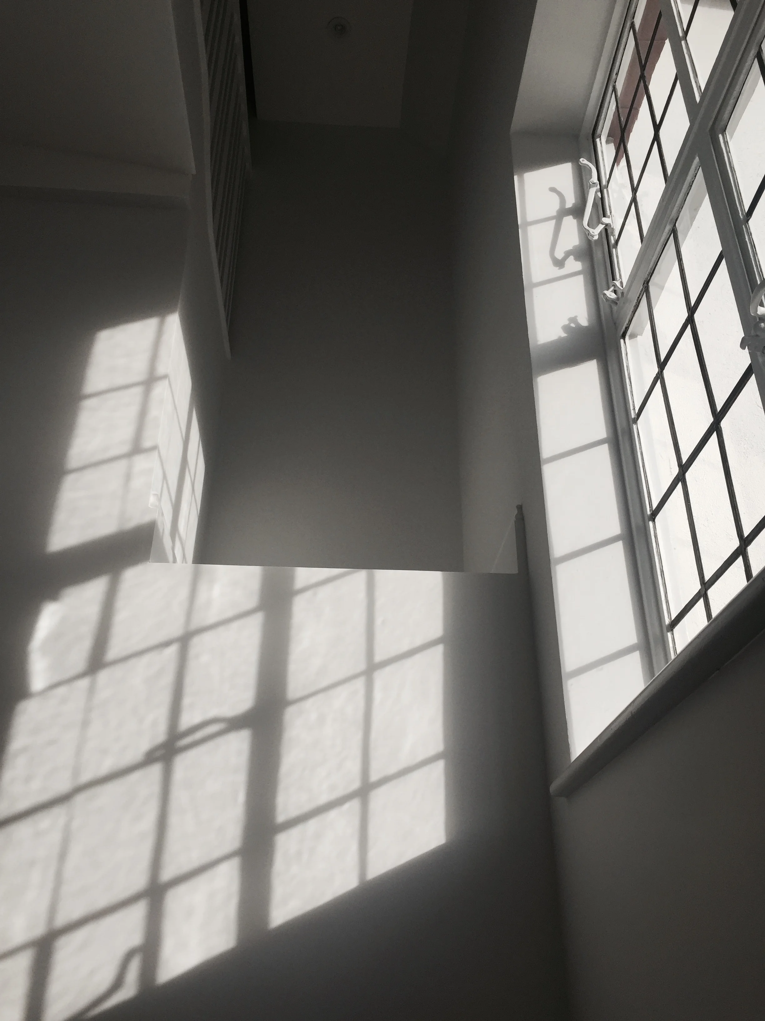 FullSizeRender-8.jpg