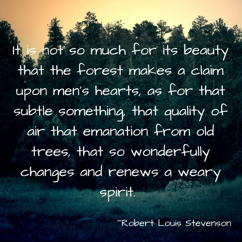 It is not so much for its beauty that the forest makes a claim upon men's hearts, as for that subtle something, that quality of air that emanation from old trees, that so wonderfully changes and renews a weary spirit.jpg