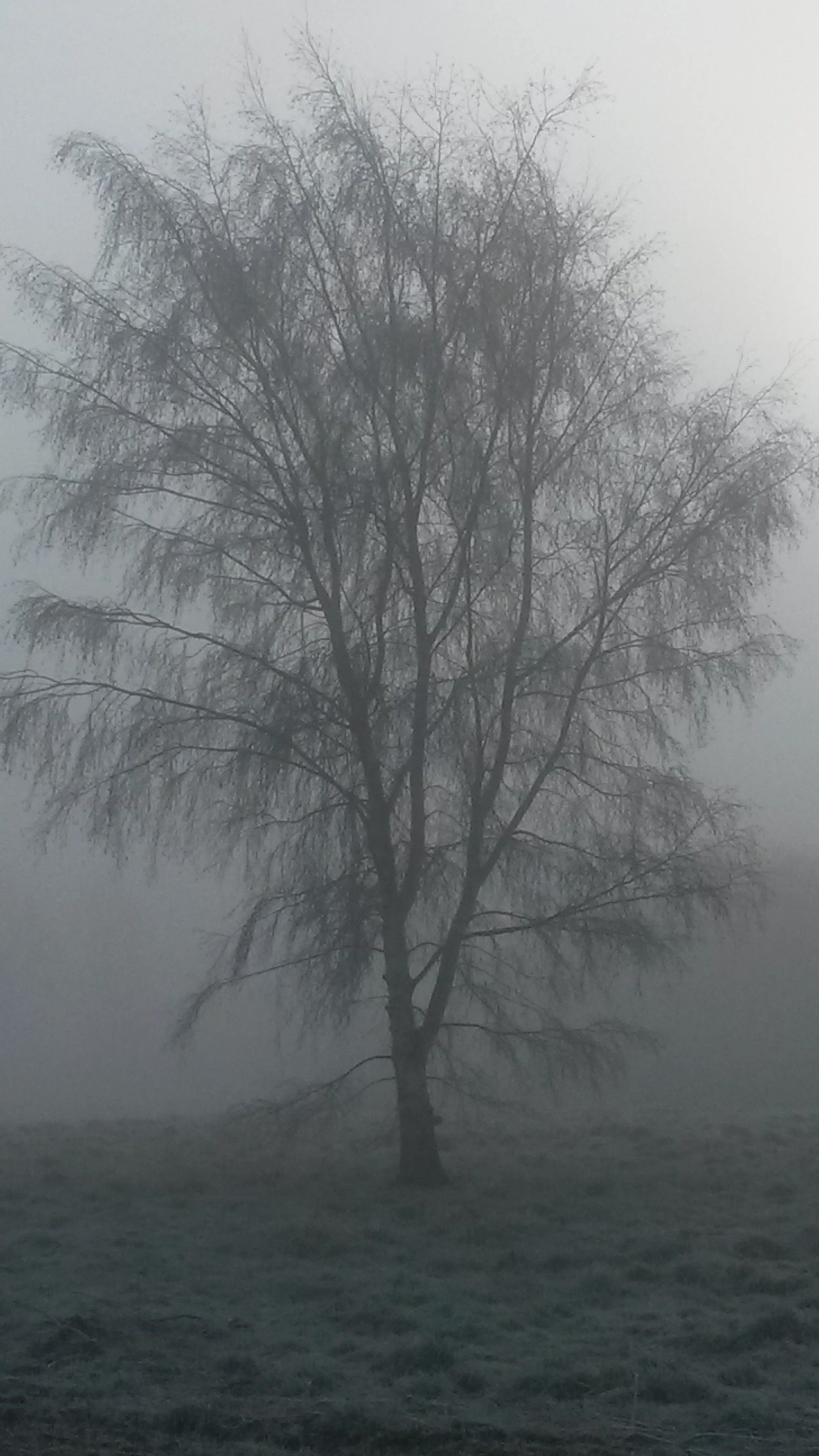 Honouring the Quiet Start to the Year