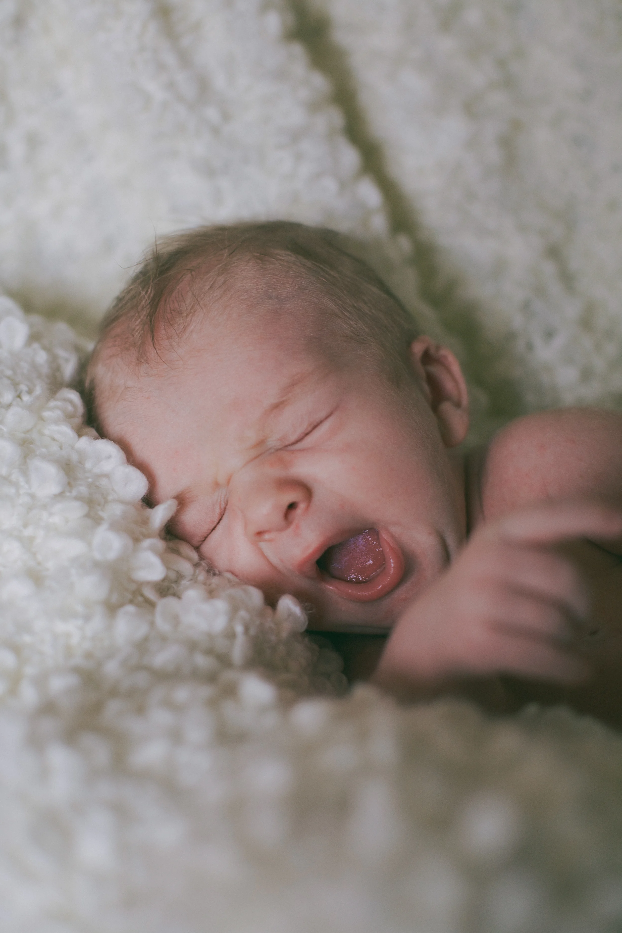 cohen- 1 month photos-3.jpg