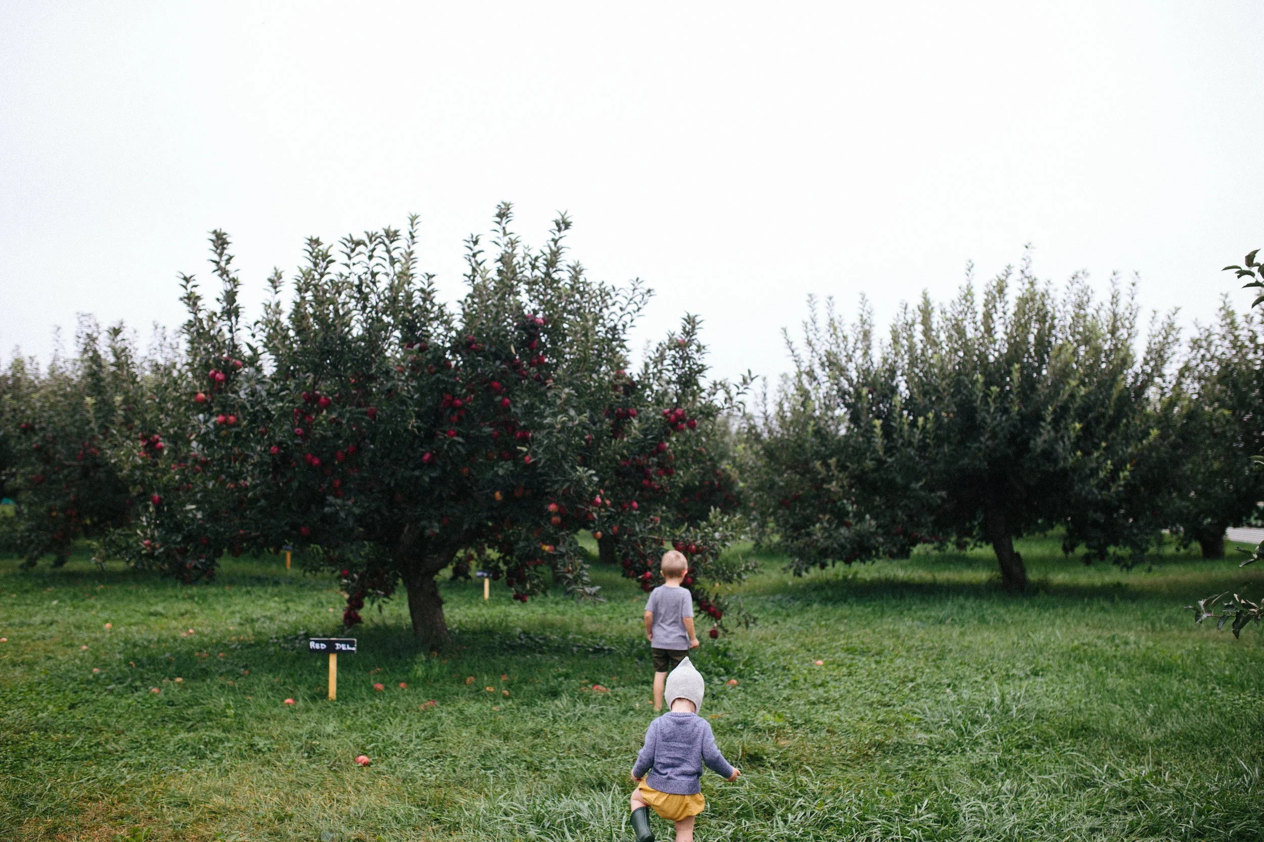 Apple Picking 16'-7.jpg