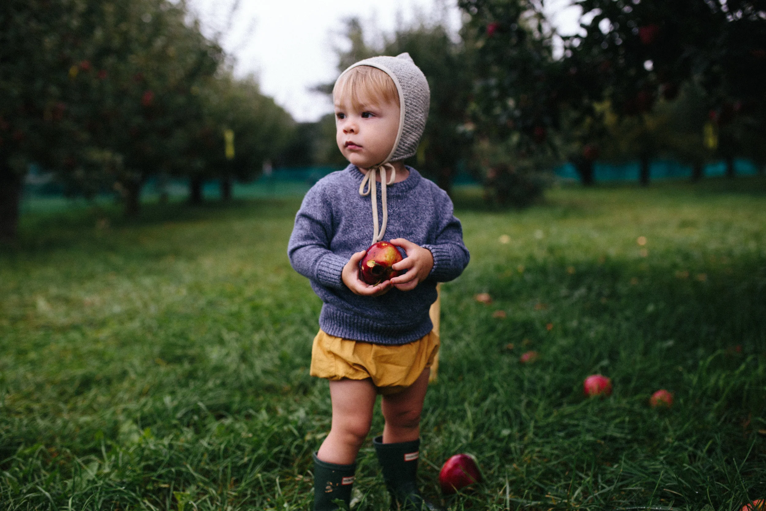 Apple Picking 16'-11.jpg