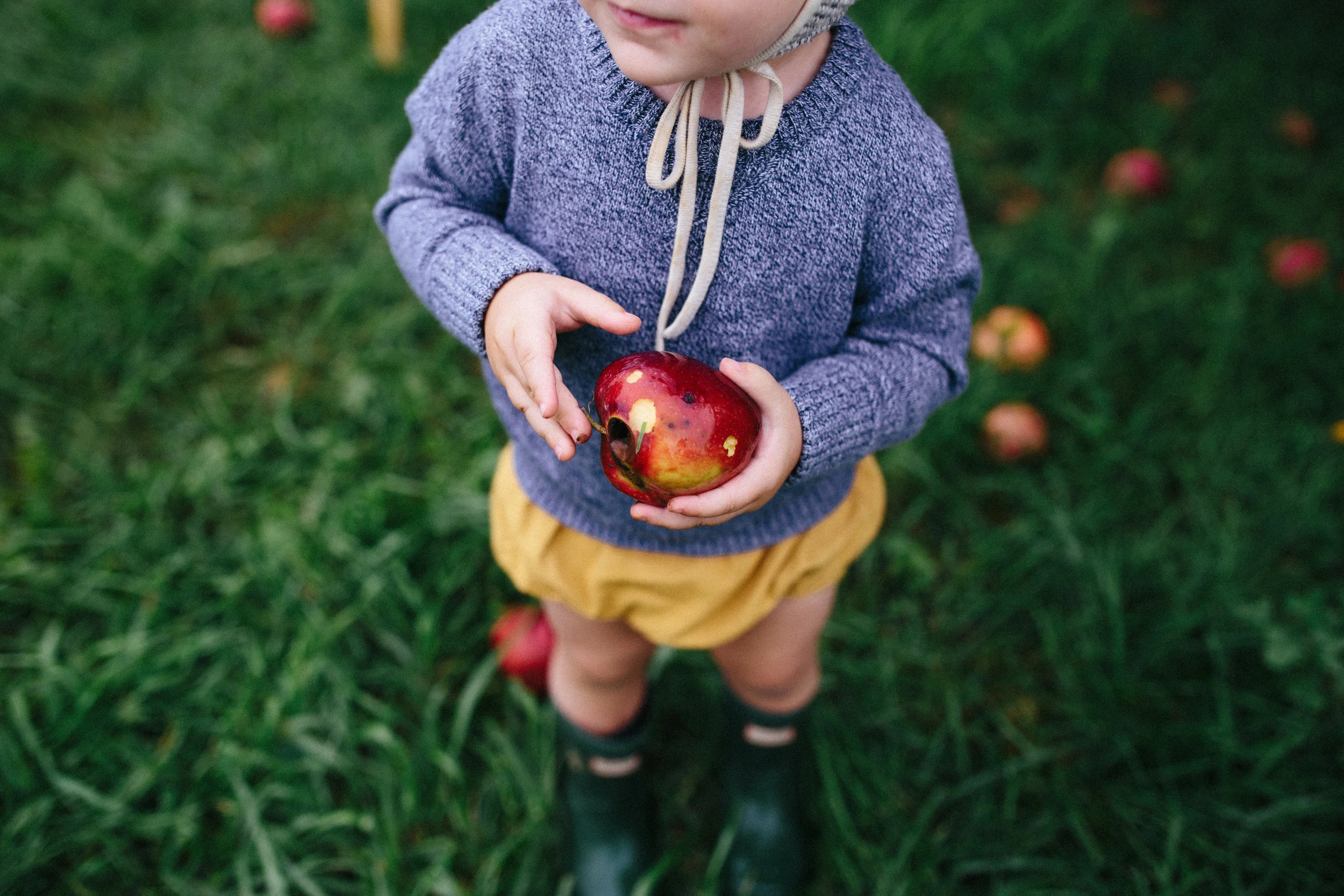 Apple Picking 16'-13.jpg