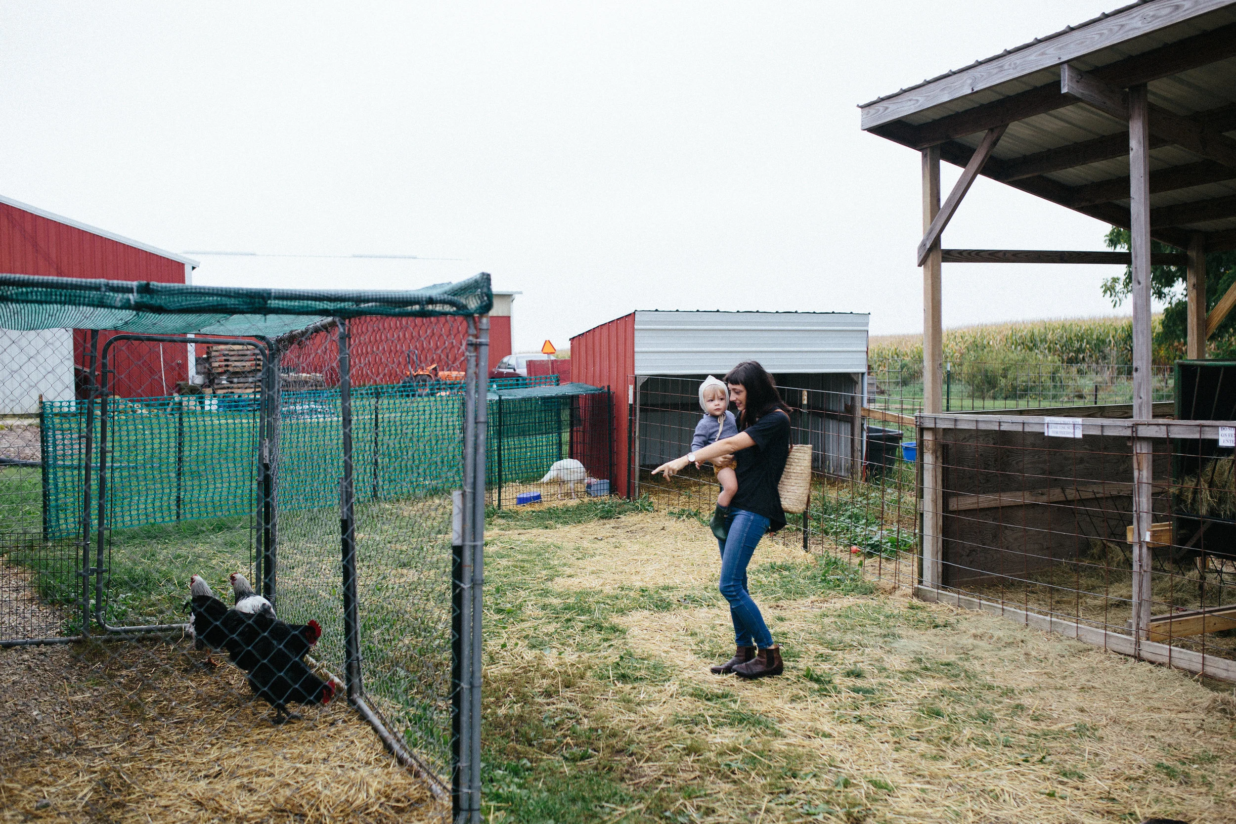 Apple Picking 16'-24.jpg