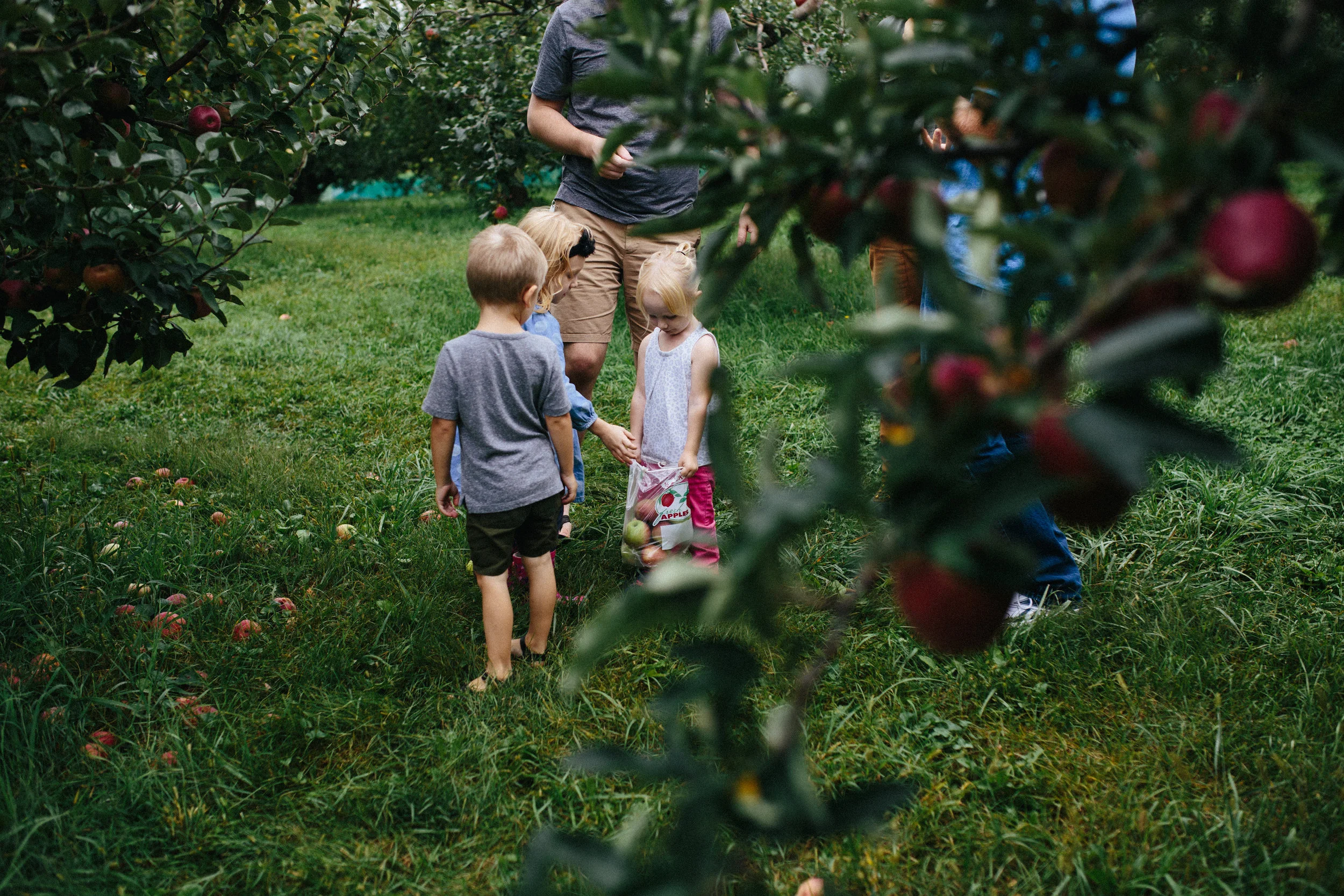 Apple Picking 16'-49.jpg