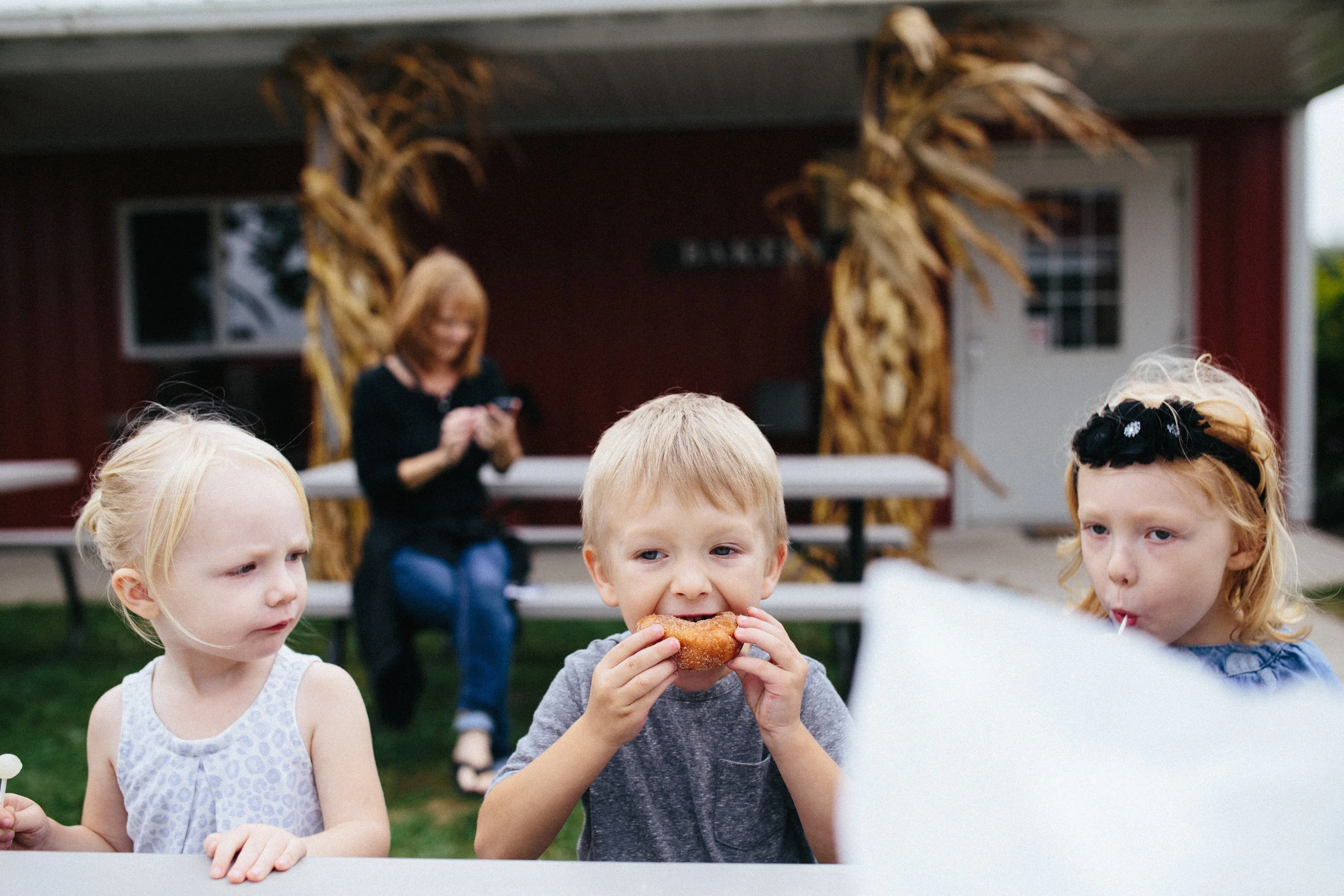Apple Picking 16'-51.jpg