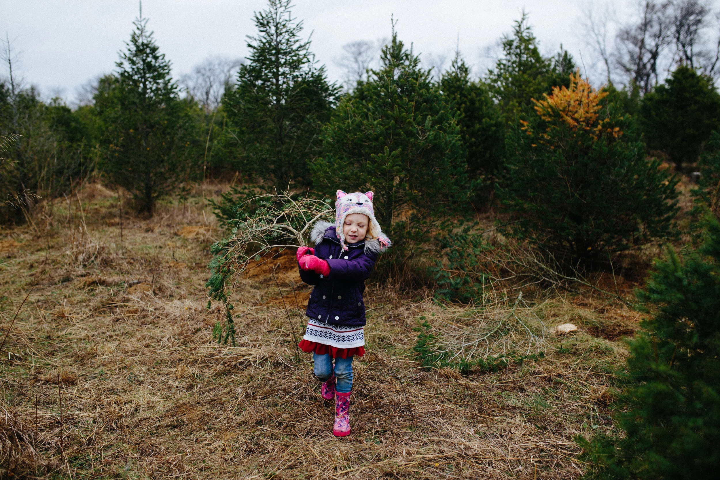 xmas tree-25.jpg