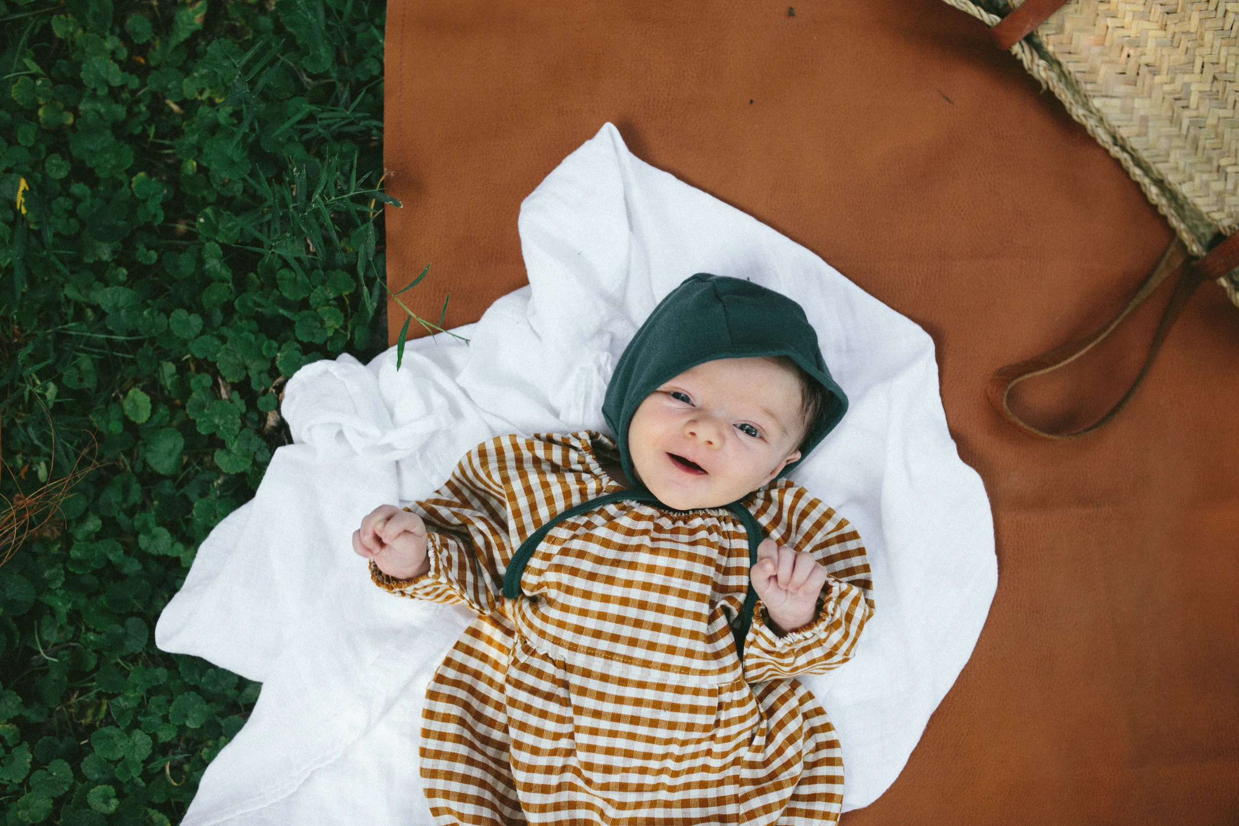 NOVA_5weeks-2.jpg