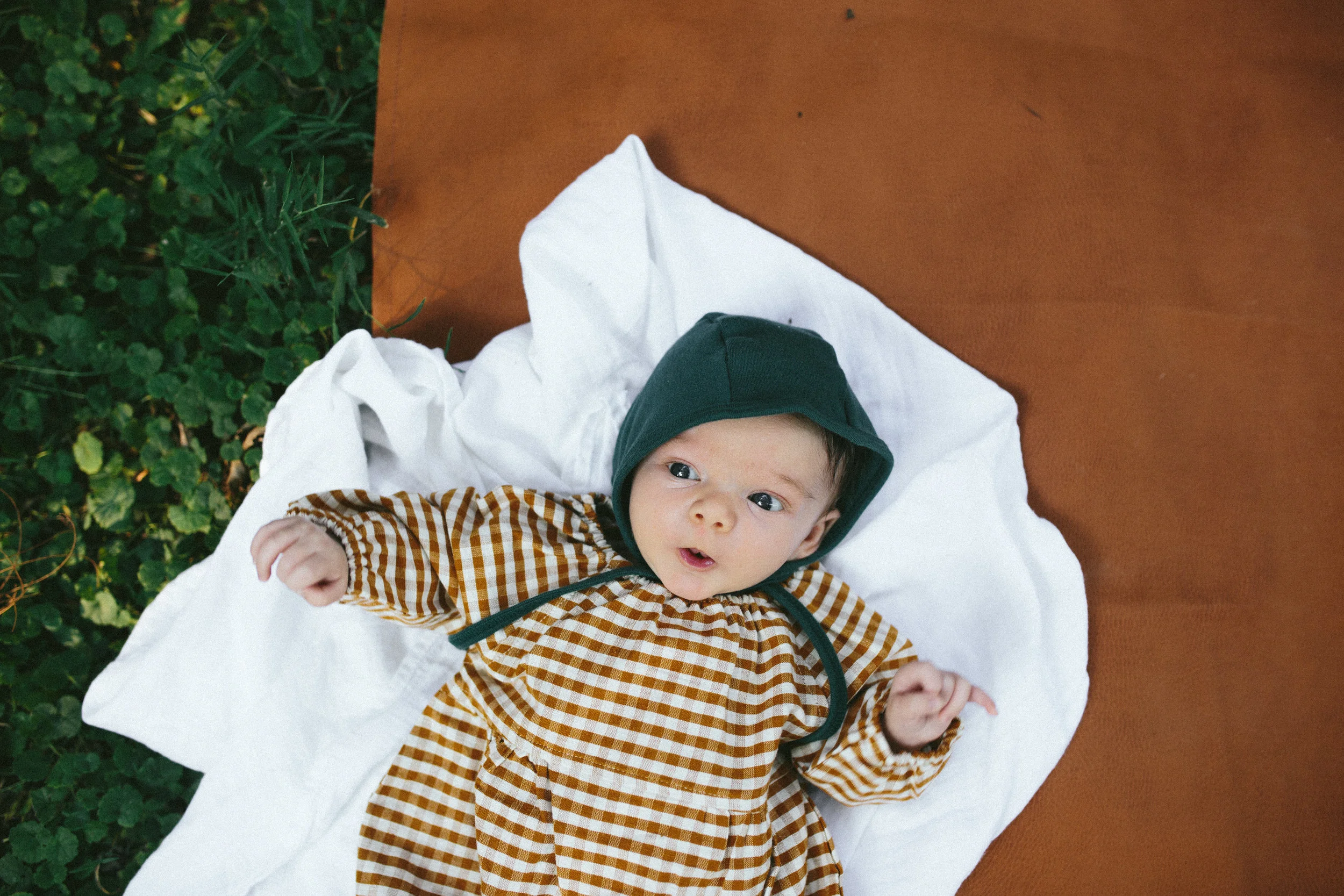 NOVA_5weeks-5.jpg