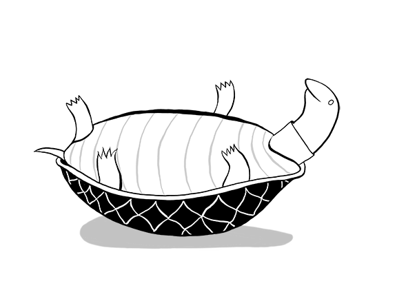 Rocking Turtle