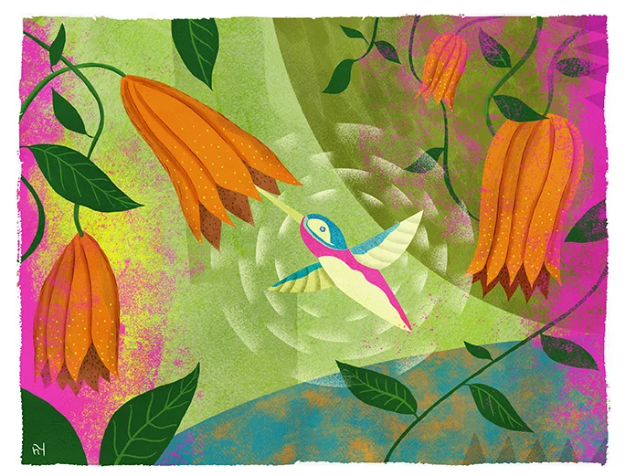 hummingbird