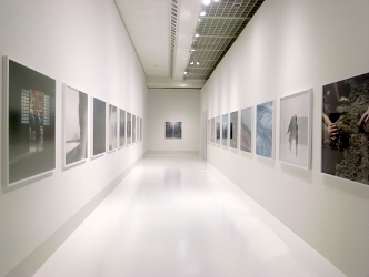 照度 あめつち 影を見る　川内倫子　東京都写真美術館