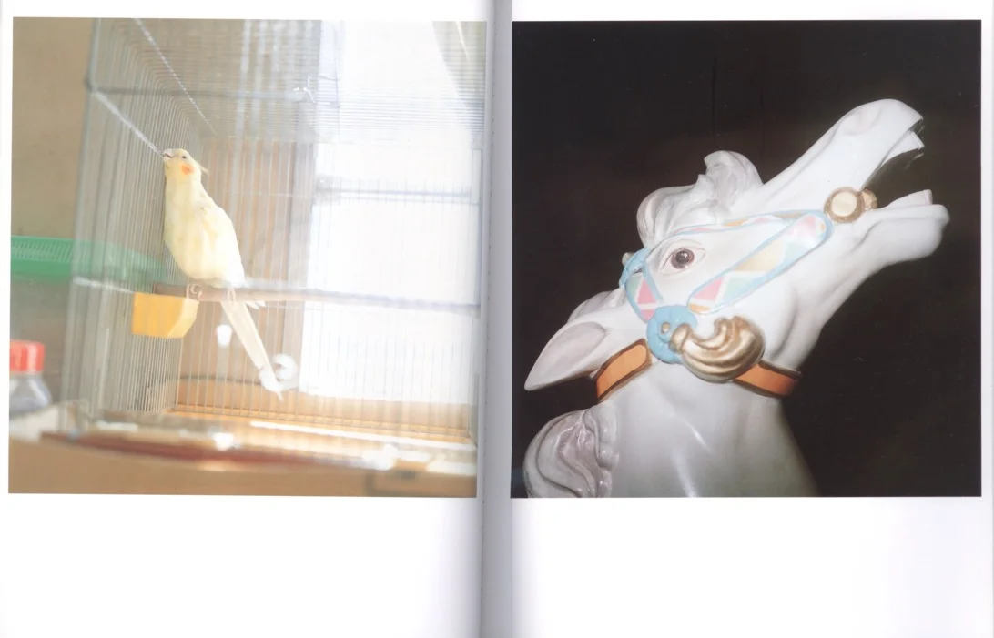 All images © 2001 Rinko Kawauchi.