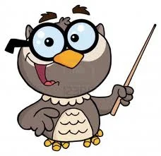 Owl.jpg