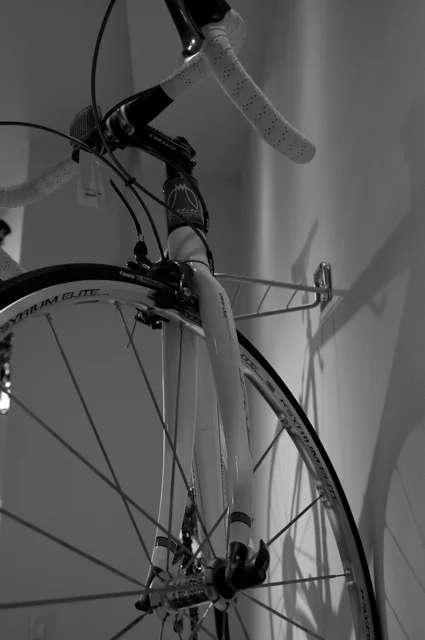 Study in Light and Shadow