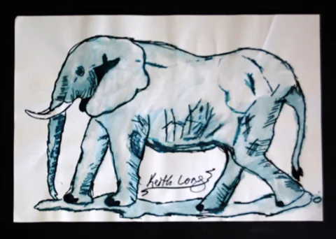 Elephant