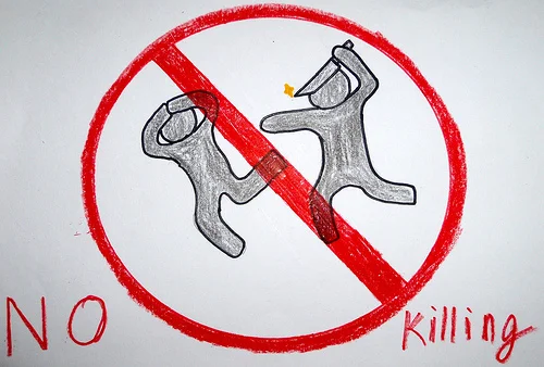 photo : "http://www.google.com/imgres?q=no+killin"