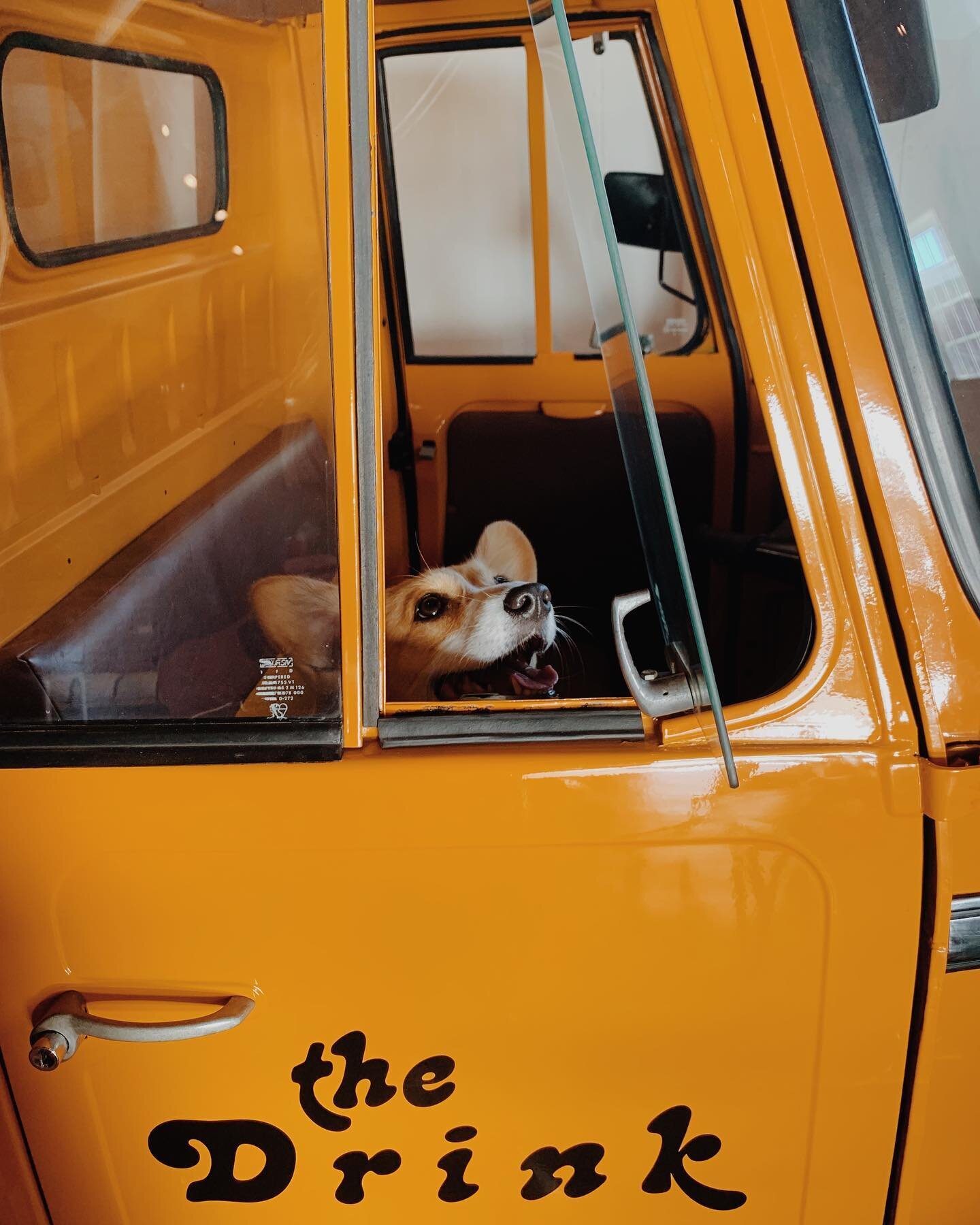 Coffee and corgis! What more could you want? 

The Drink Coffee Cart will be up and running this Spring! ☕️

#thedrink #healdsburg #coffeeandcorgis