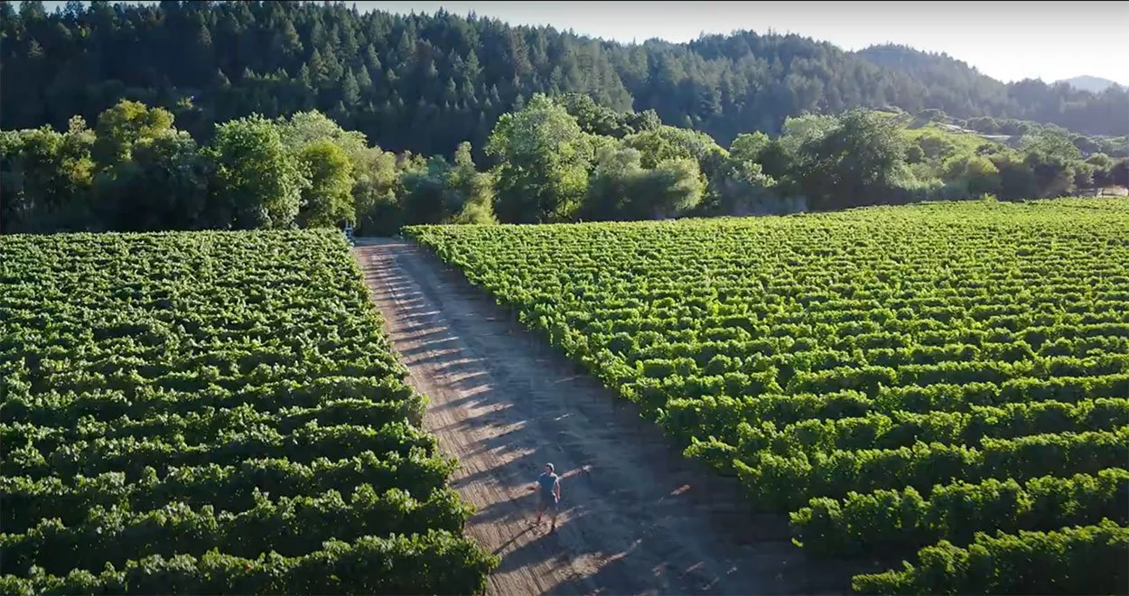 sonoma-wine-country.jpg