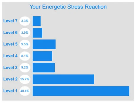 Energetic Stress Reaction - Under Stressful Times