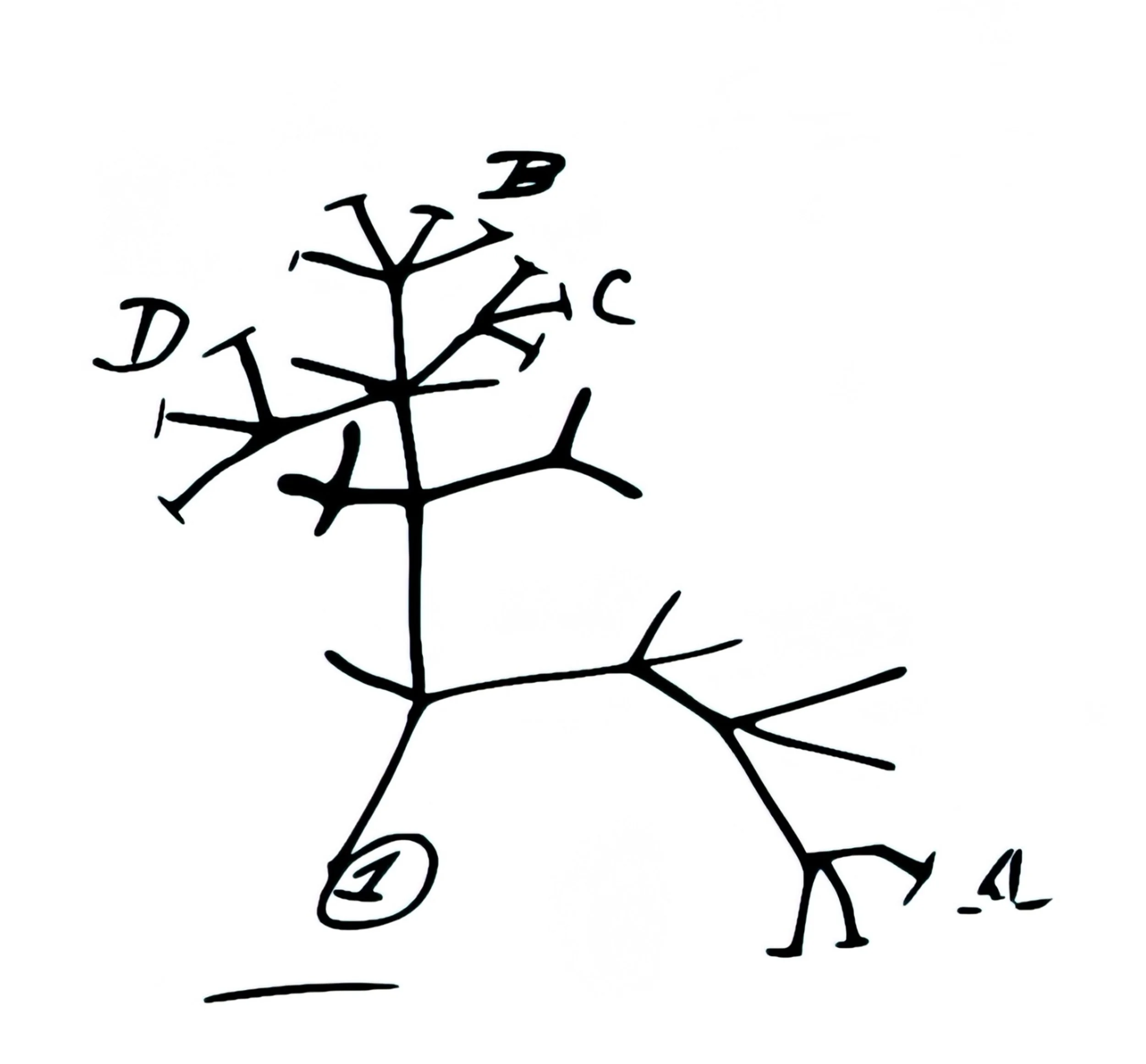 Der Baum des Lebens – immer noch Darwins Baum?