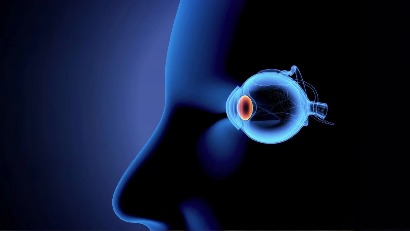 Unser Auge – eine Fehlkonstruktion?