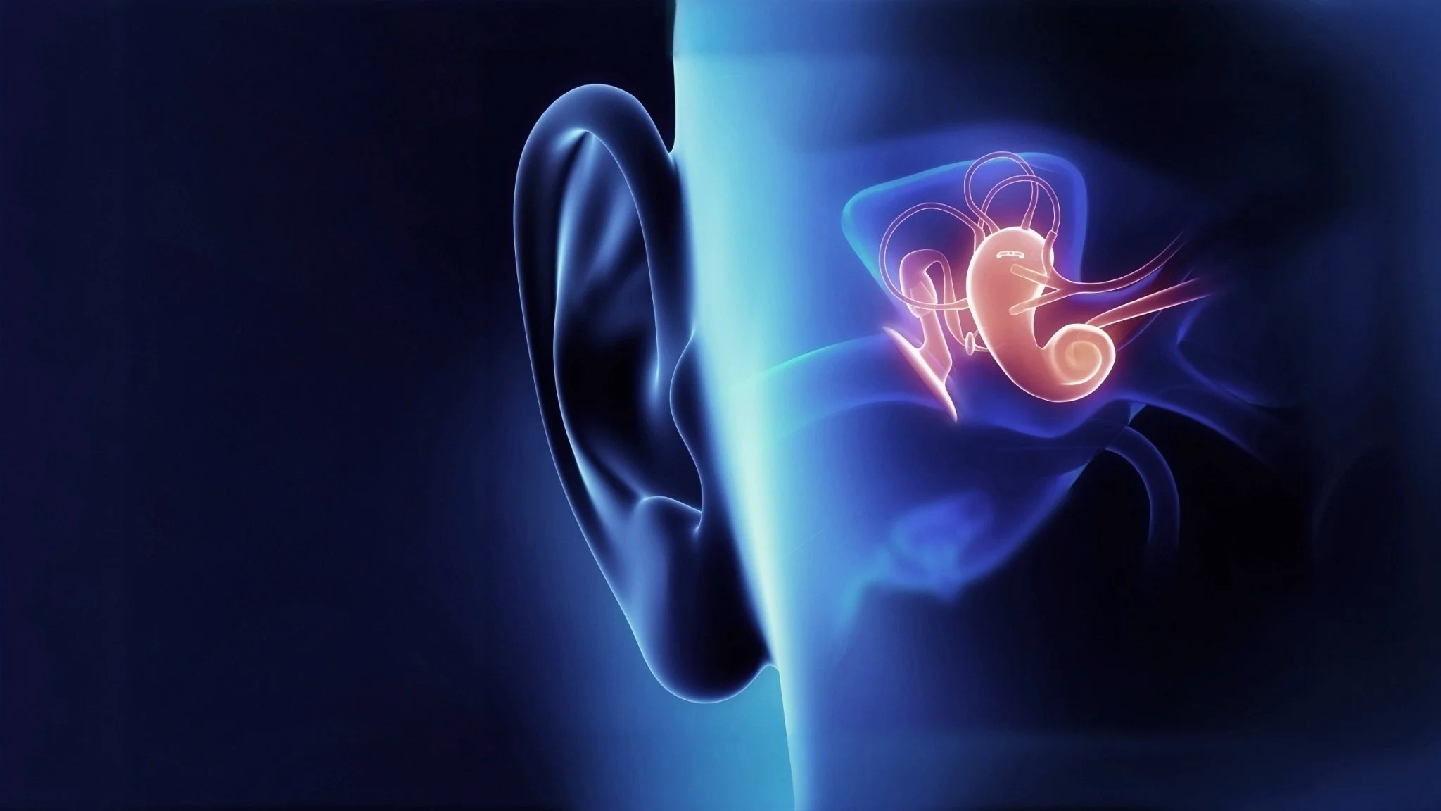 Unser Ohr – entstanden durch Evolution?