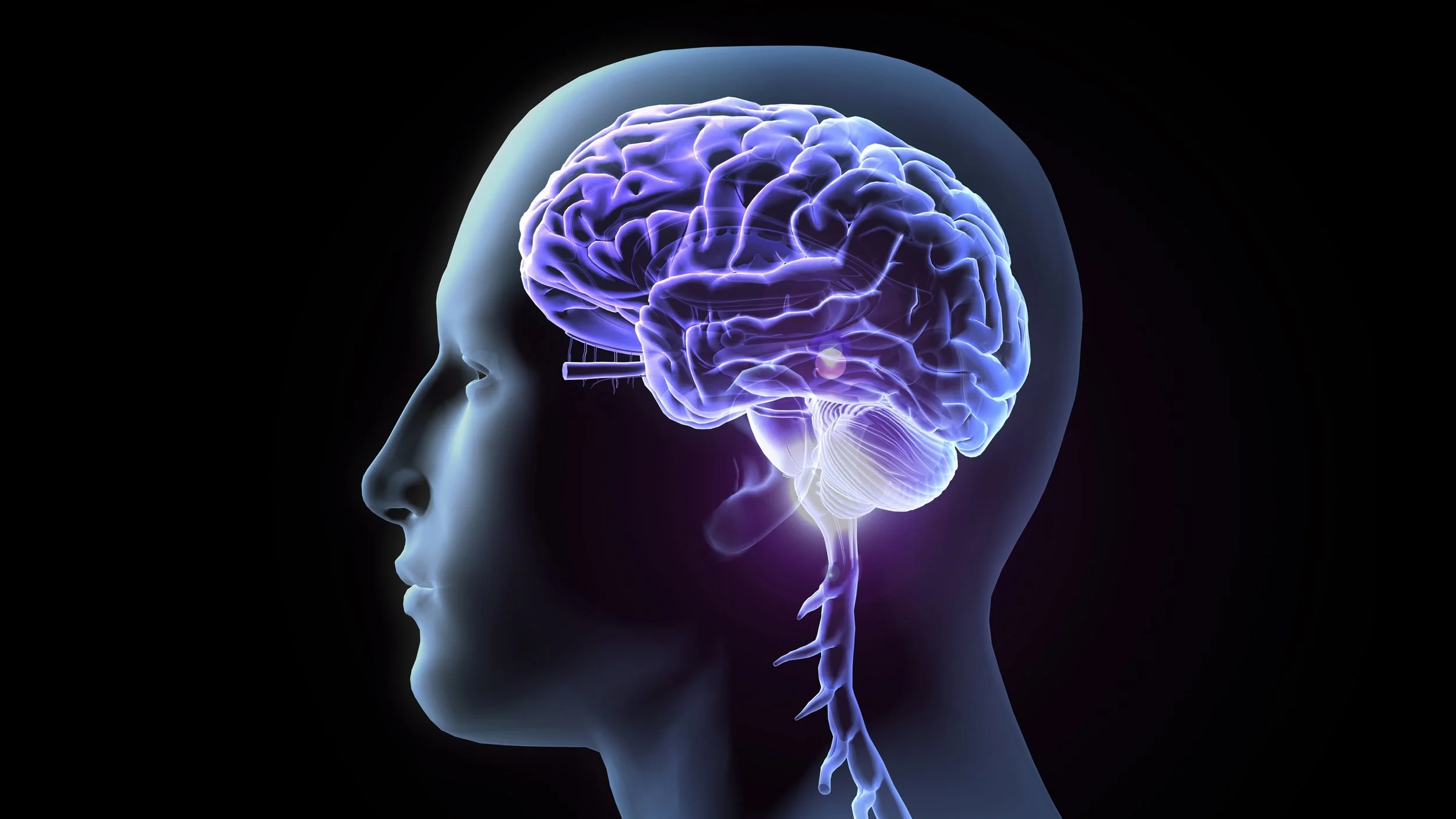 Unser Gehirn – Produkt von Zeit und Zufall?