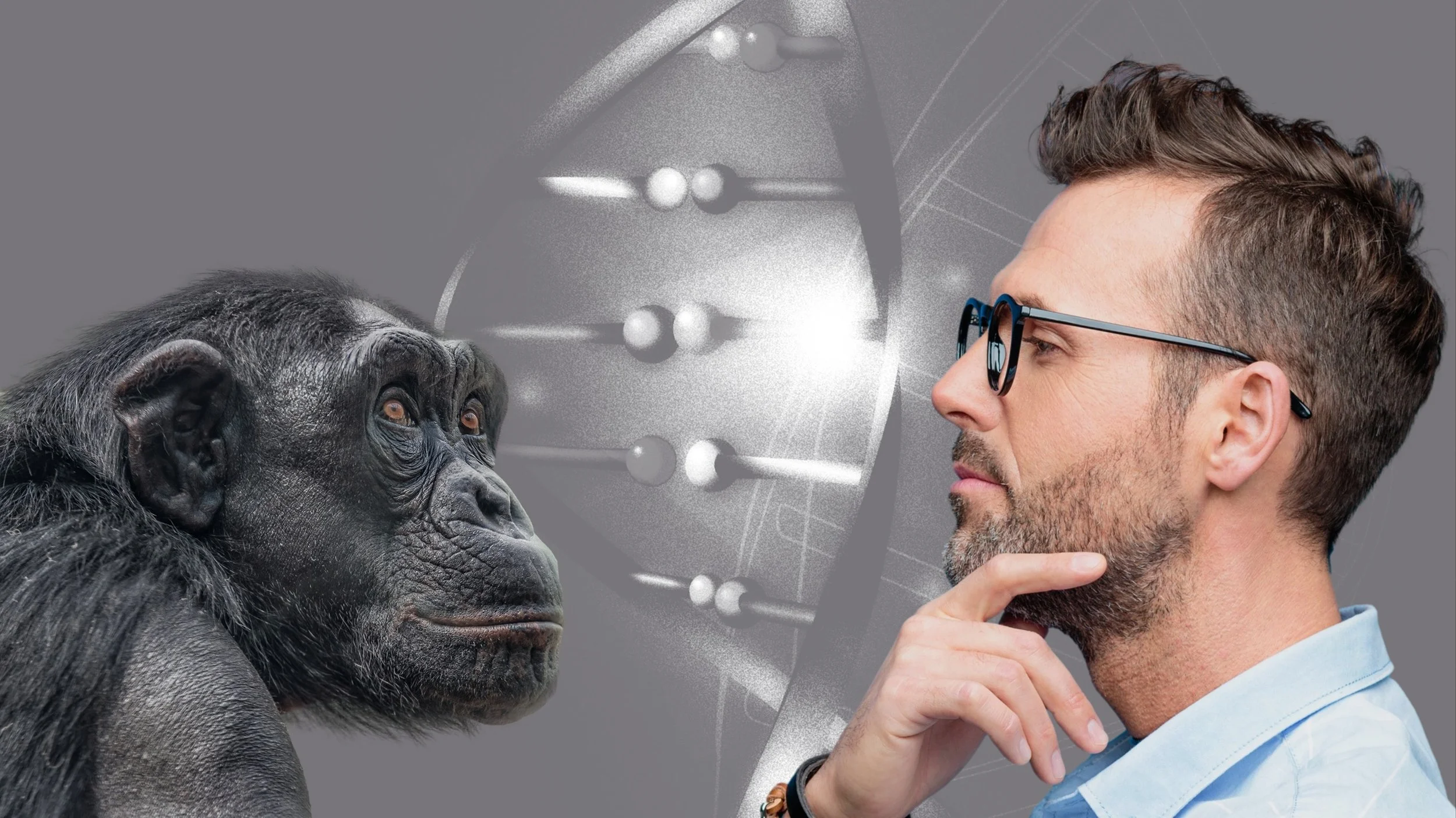 Moderne Genetik und der Affenmensch