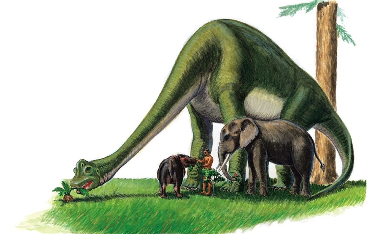 Drachen oder Dinosaurier? - Ein Vortrag für Kinder und alle Junggebliebenen