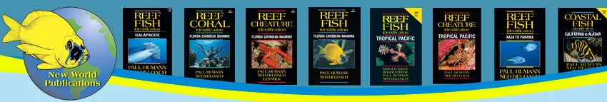 book_banner02.jpg