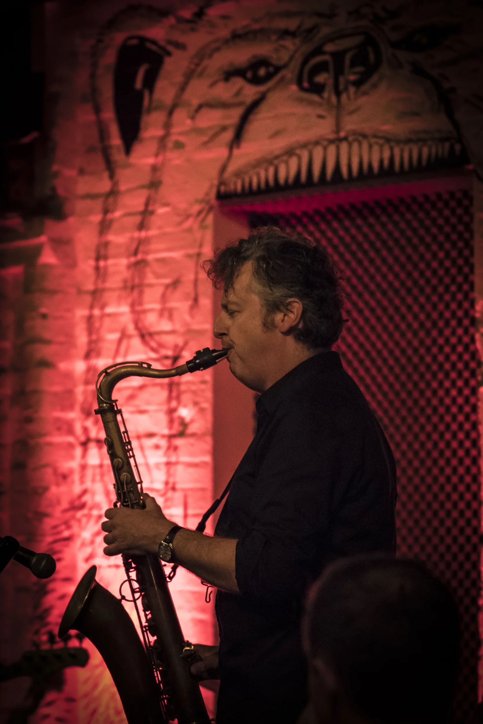 Partisans at The Bear Club, Nov 2015.
