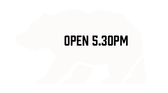 BEAR 530 WHITE.png