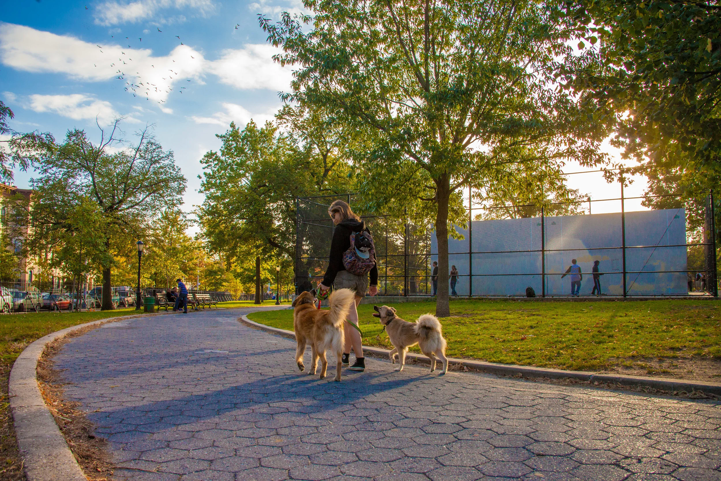 LSNY_Bushwick-3.jpg