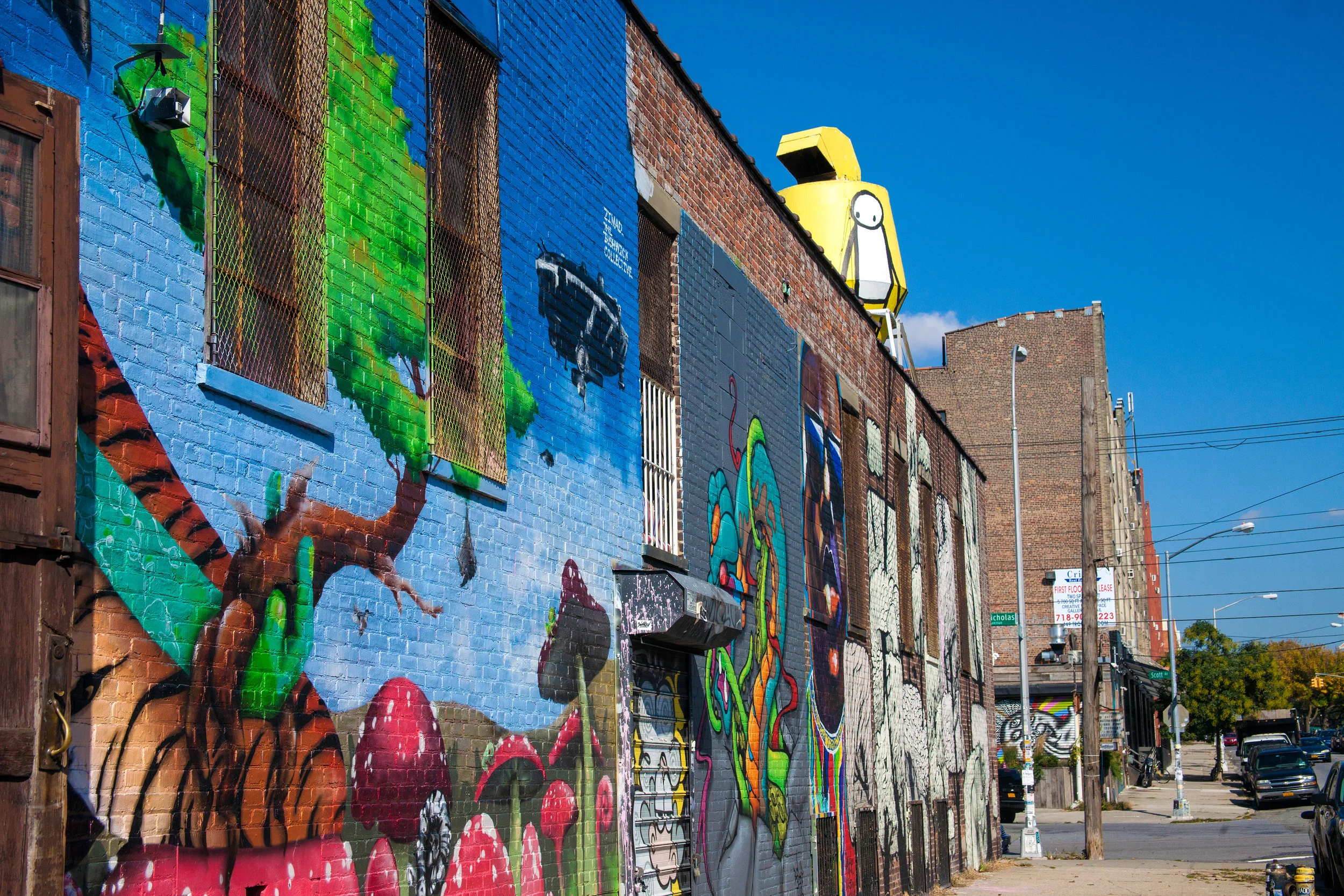 LSNY_Bushwick-5.jpg