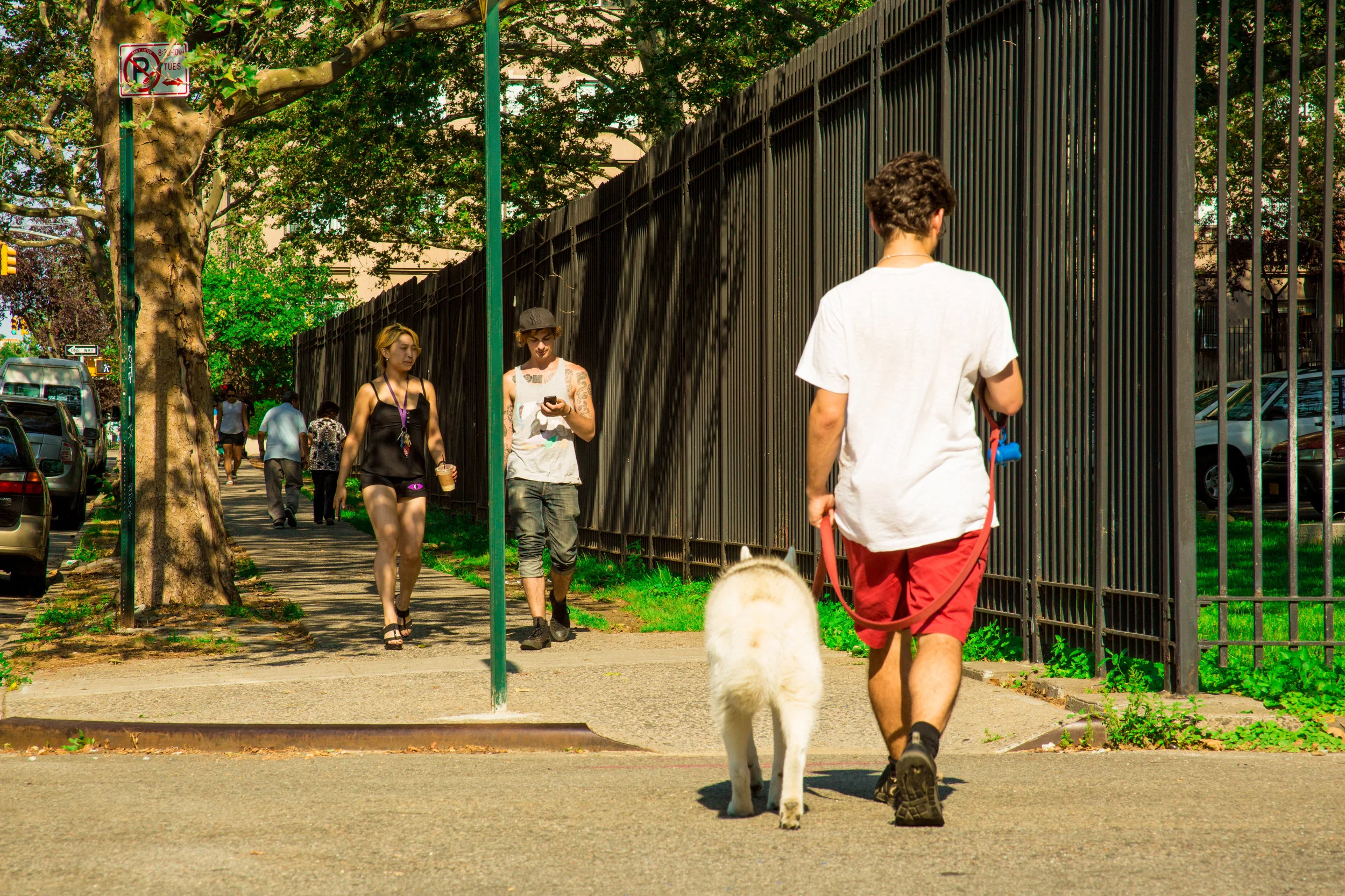 LSNY_Clinton_Hill-11.jpg