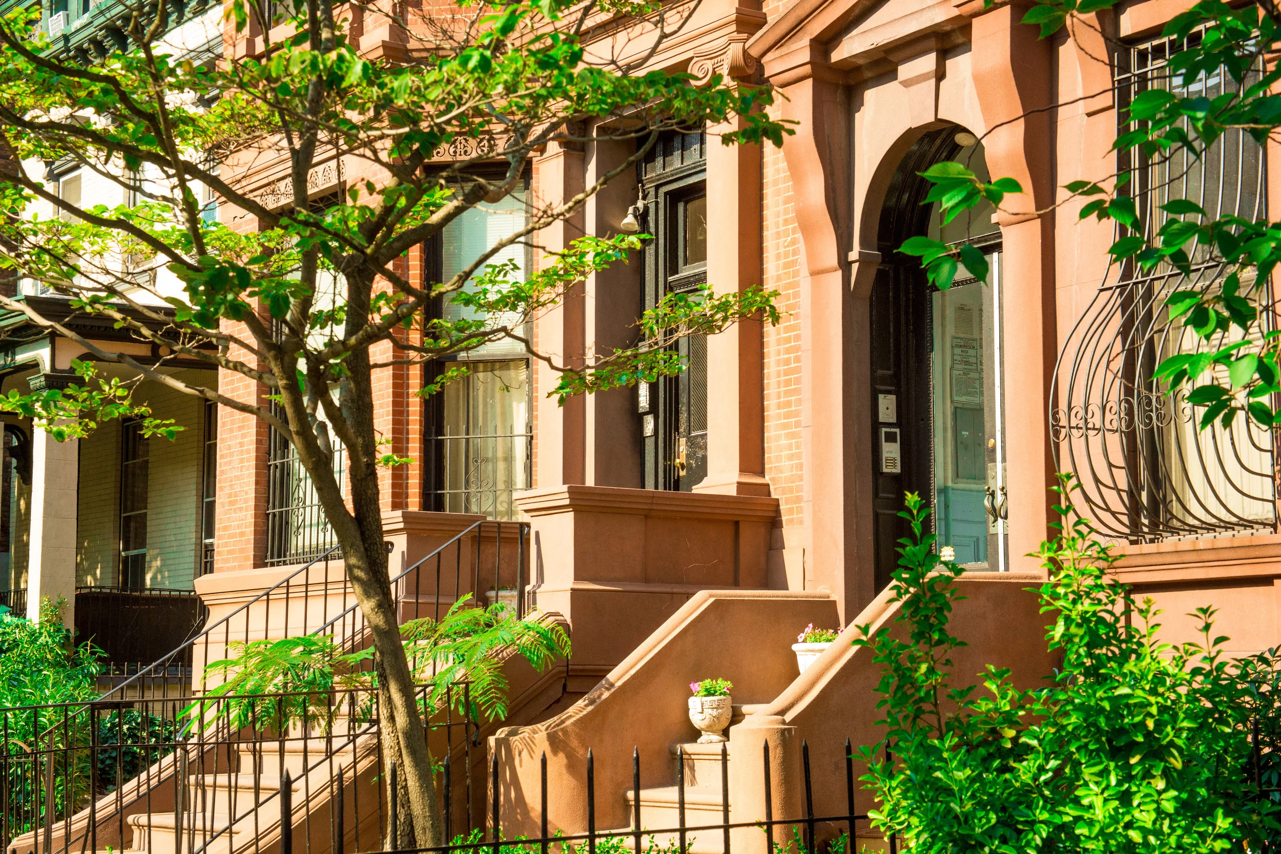 LSNY_Clinton_Hill-23.jpg