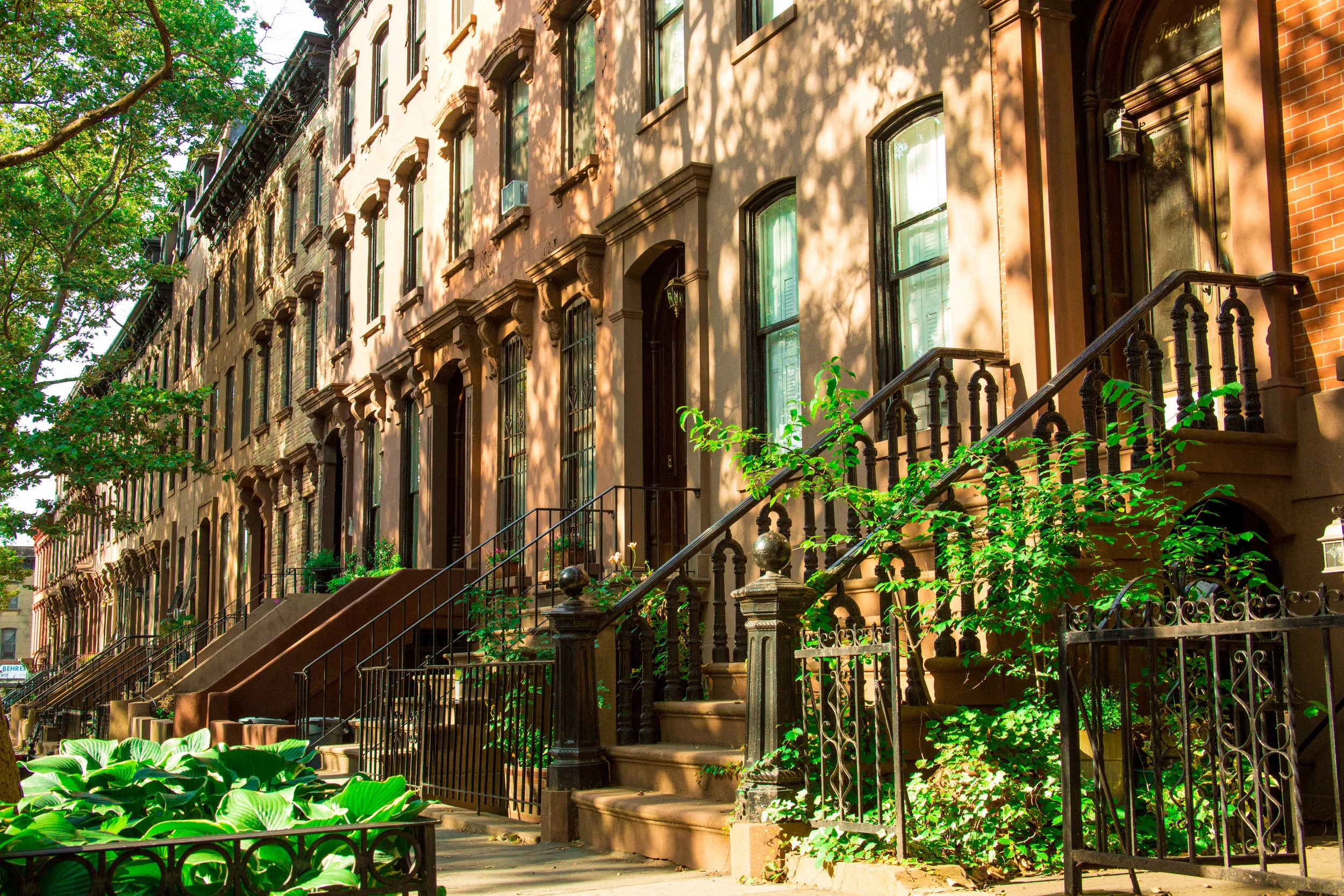 LSNY_Clinton_Hill-31.jpg