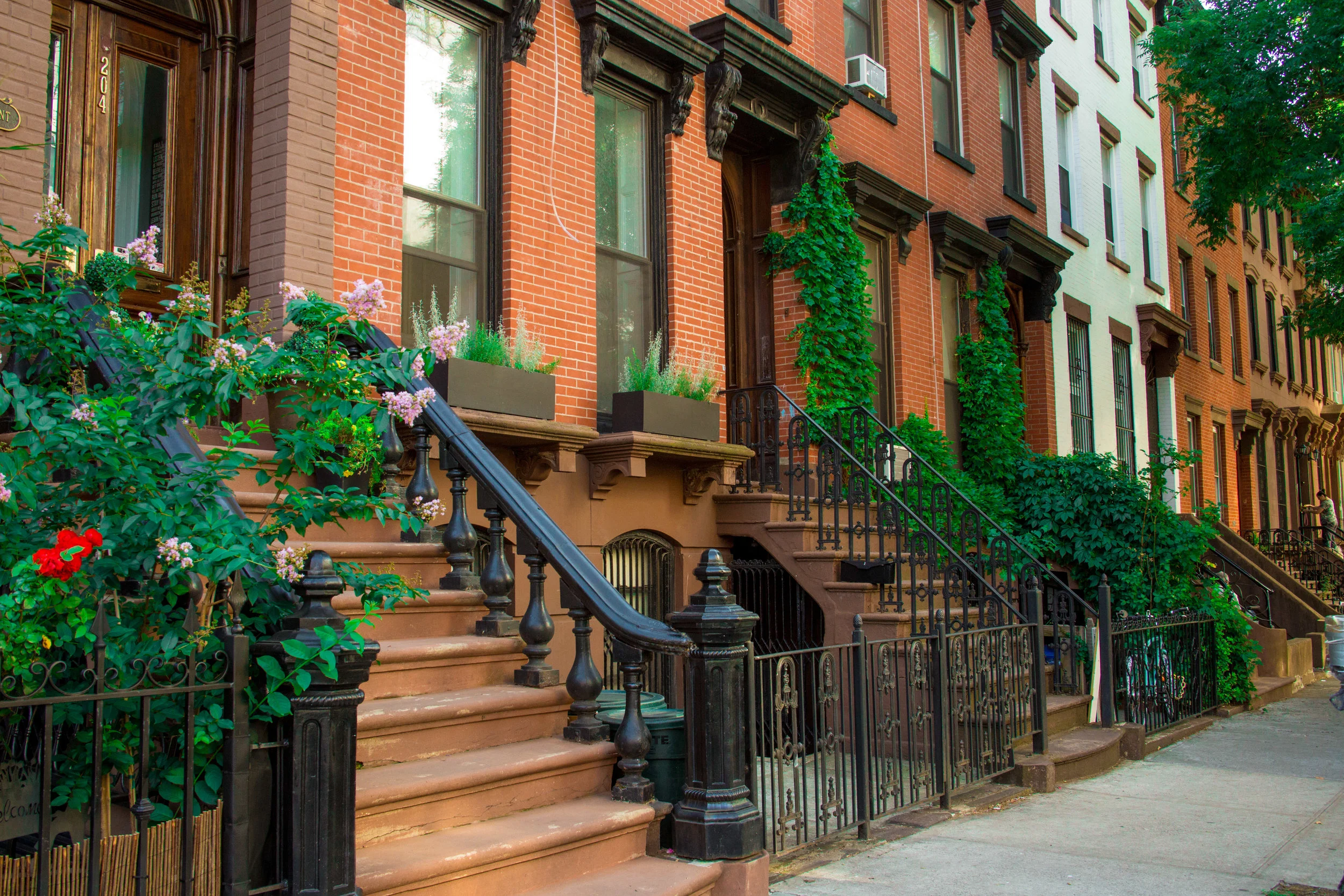 LSNY_Clinton_Hill-32.jpg