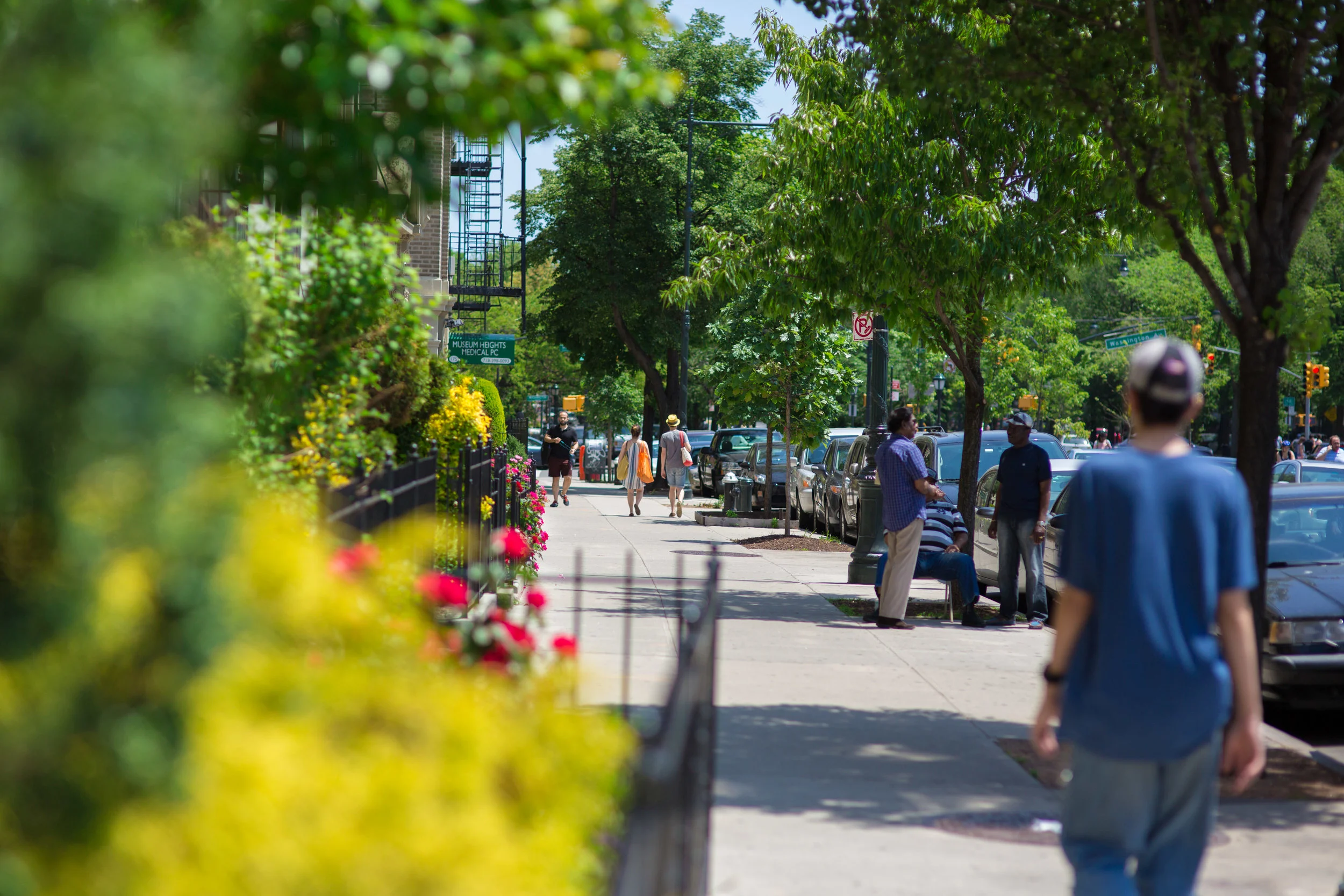 LSNY_Crown_Heights-18.jpg